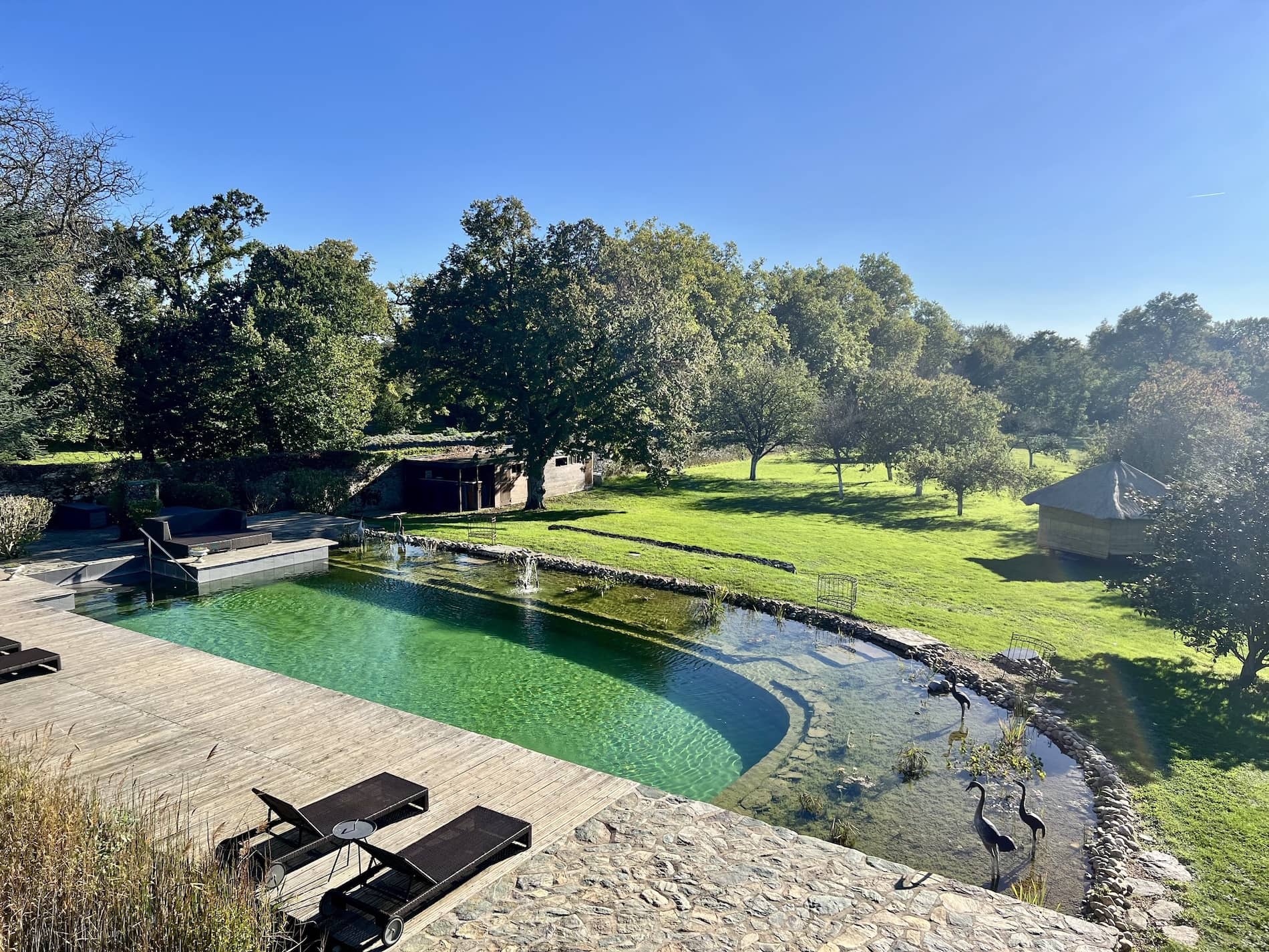 Piscine chauffée avec vue sur le parc arboré du Château de l'Epinay
